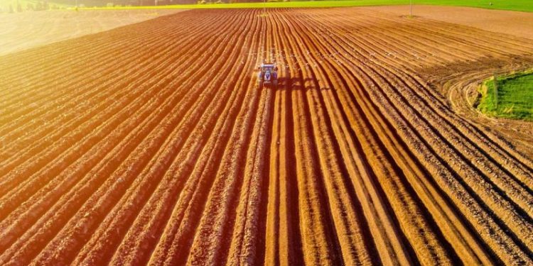 Agriculture Market Update: Q2 2025 in Review