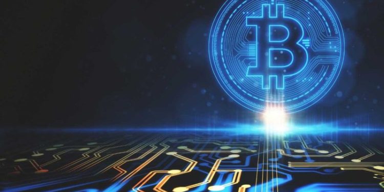 Crypto Market Update: Institutional Treasuries Sharply Scale Back Bitcoin Acquisitions