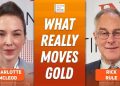 Rick Rule: Gold Price During War, Silver Strategy, Oil Stock Game Plan